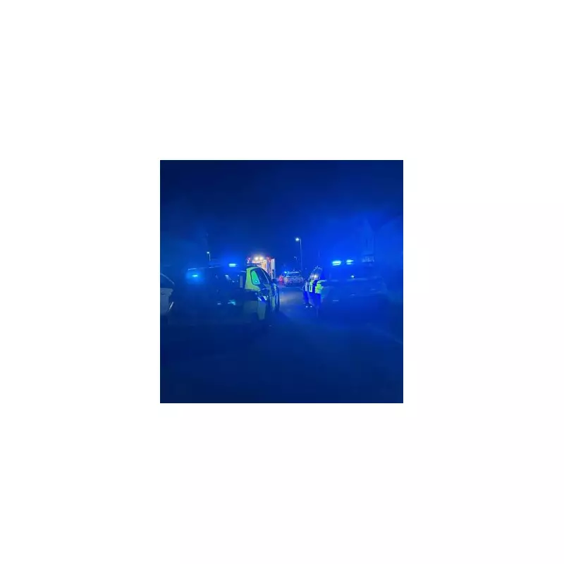 Christmas Day Chaos in Greatham as Man Wrestles Police, Emergency Services Swarm Village