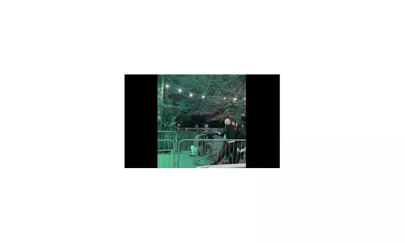 Christmas Eve Chaos at Winter Wonderland: Violent Brawl Erupts in Hyde Park