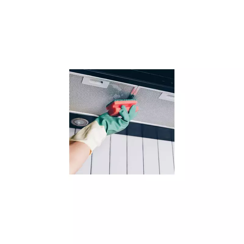 Clean Extractor Fan Filters in 15 Minutes with One Natural Item