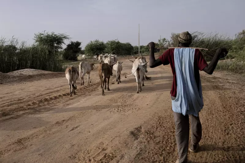 Climate Change Intensifies Historic Farmer-Herder Conflict in Senegal