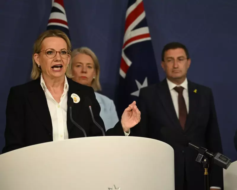 Coalition's Bondi Attack Claims: Ministers Link Palestine Recognition to Terrorism