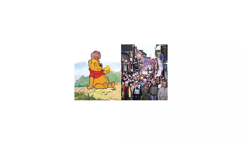Council spends £450k on Winnie-the-Pooh as town protests asylum seeker camp