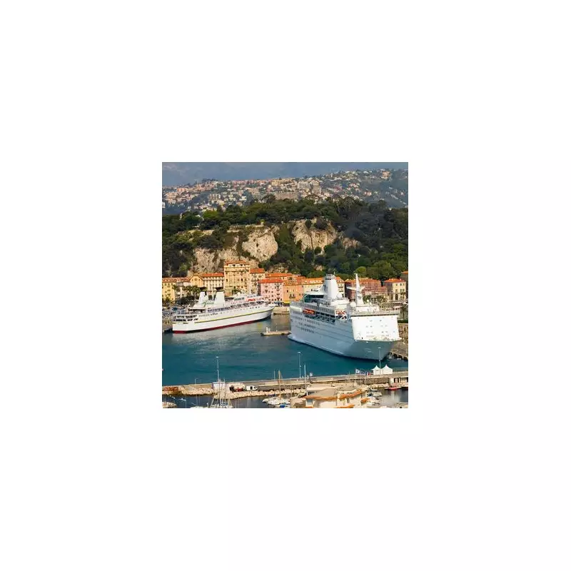 Cruise Passengers Face 2026 Crackdown on Banned Items: From Routers to Pineapples