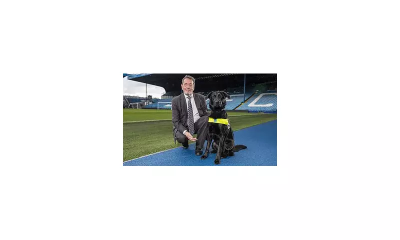 David Blunkett Urges EFL to Save Sheffield Wednesday from 'Total Humiliation'