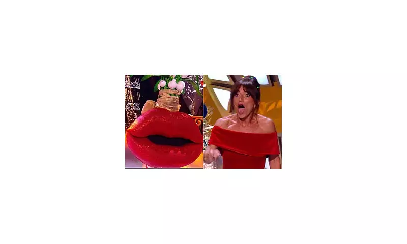 Daytime TV Star Dermot O'Leary Wins The Masked Singer Christmas Special