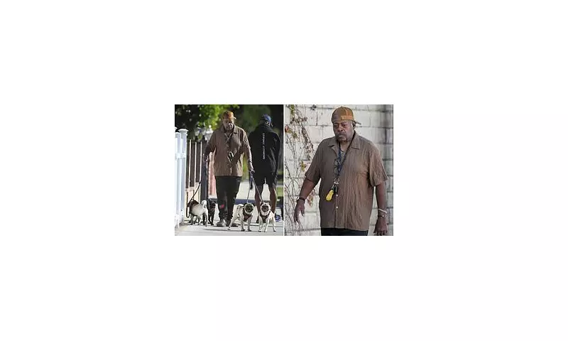 Die Hard star Reginald VelJohnson, 73, spotted on LA stroll amid Diddy scandal denial