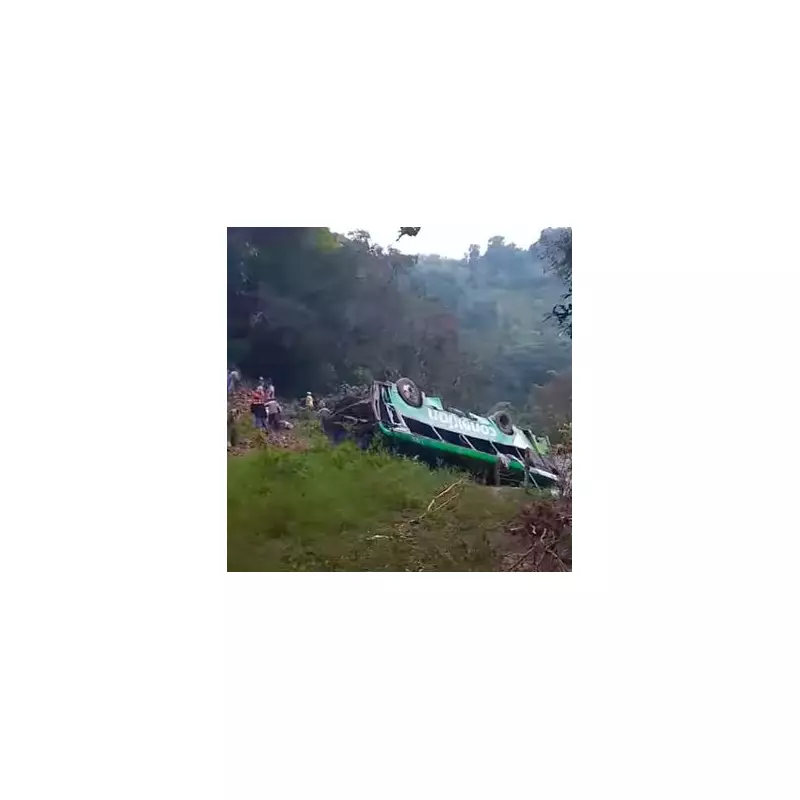 Eight dead, 19 injured in Mexico Christmas bus plunge down 600ft embankment
