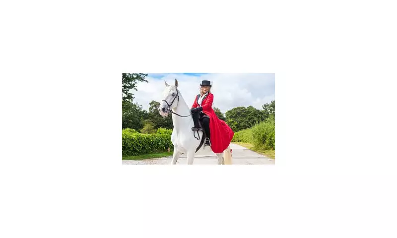 Emmerdale fans mourn 'icon' Ice as Kim Tate's horse is killed in shock twist