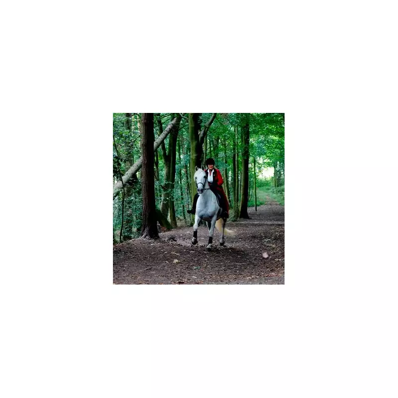 Emmerdale shock: Kim Tate's killer horse Ice dies in tragic off-screen twist