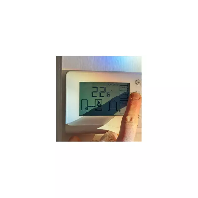 Energy expert reveals ideal thermostat temperature to slash heating bills