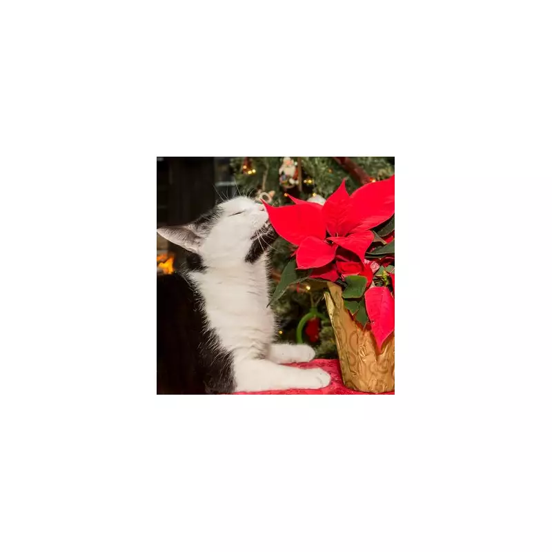 Expert's 8 'Genius' Tips to Keep Cats Away From Your Christmas Tree