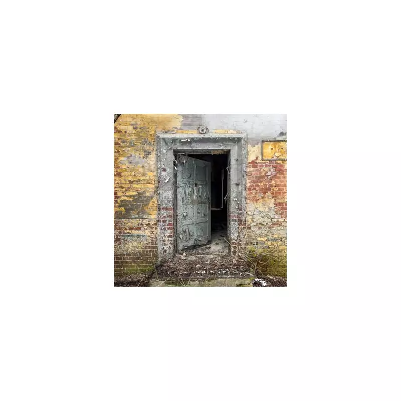 Explorer's 40-Year Mystery Solved: Inside New Zealand's Abandoned Mining Tunnels