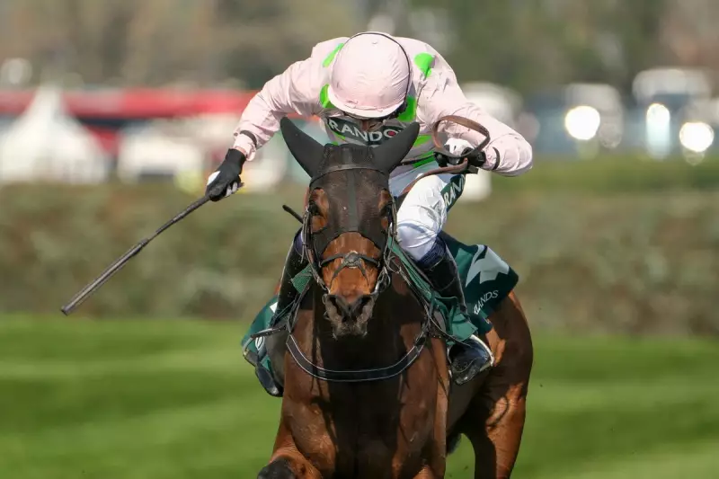 Fact To File and Gaelic Warrior Set for King George VI Chase Clash at Kempton