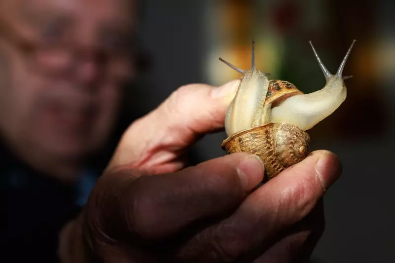 Five Essential Reads: From Snail Slime to Indigenous Education