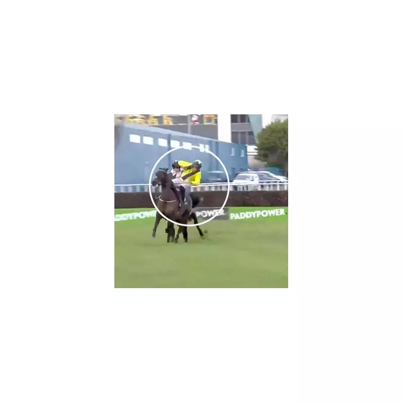 Flanagan's Miraculous Recovery Keeps Marine Nationale in Contention at Leopardstown