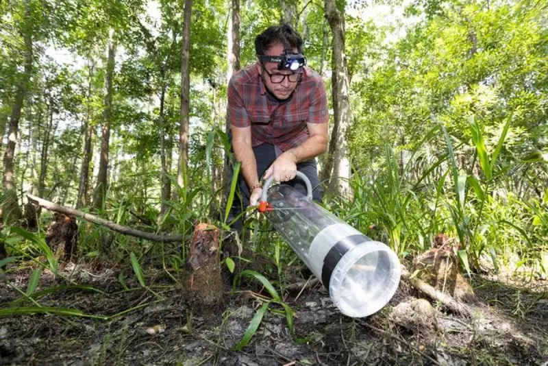 Florida Scientists Use Mosquito Blood to Map Biodiversity, Echoing Jurassic Park