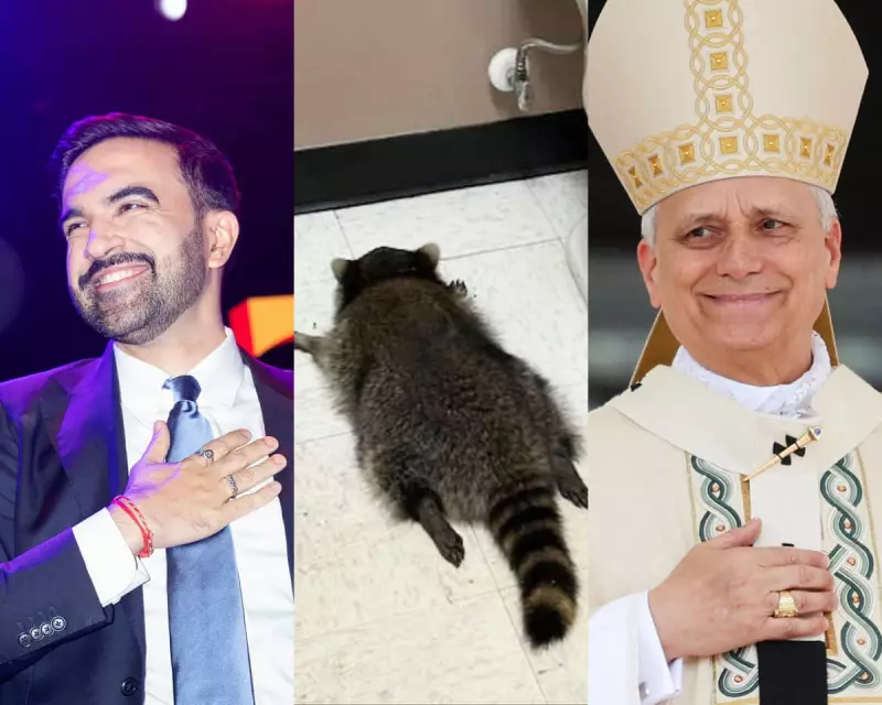 From Papal Hope to a Drunk Raccoon: The Uplifting Stories That Defined 2025