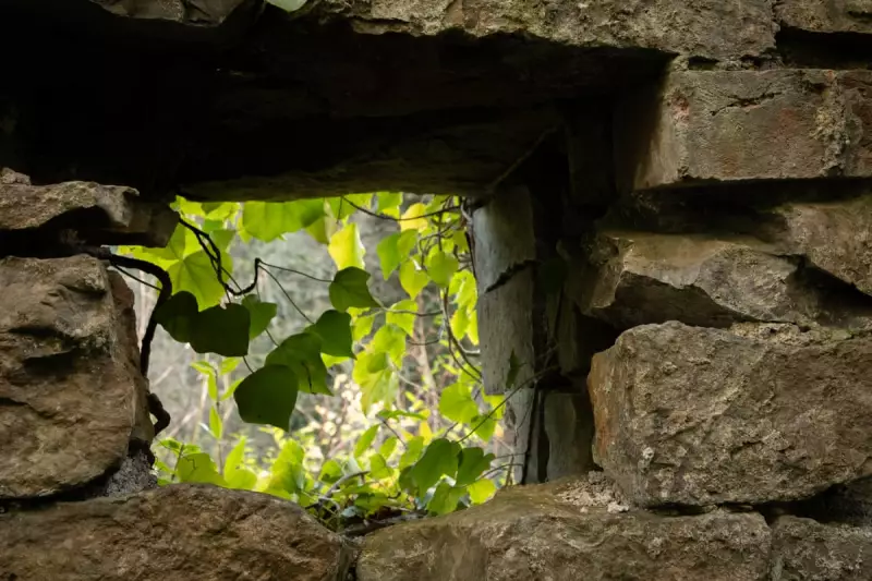 Frome's Forgotten Ironworks: A Journey Through Somerset's Industrial Past