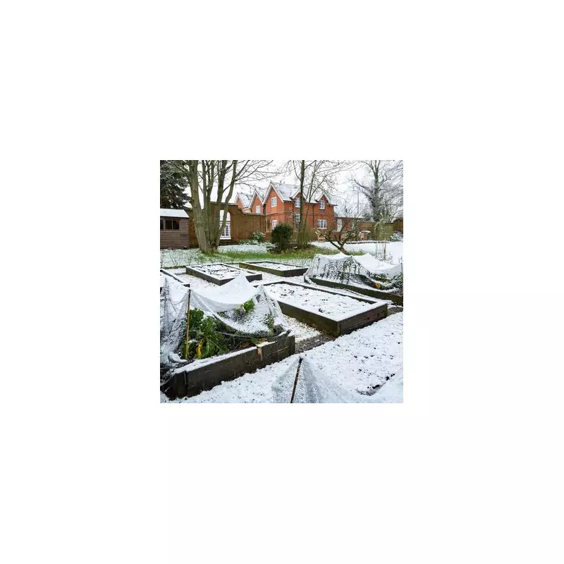 Gardener's Urgent Warning: One Crucial Task to Protect Plants Before Next Week