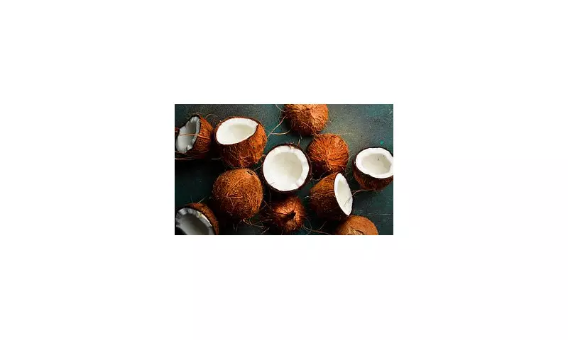 Genius Travel Hack: Why You Should Pack a Coconut on Your Next Flight