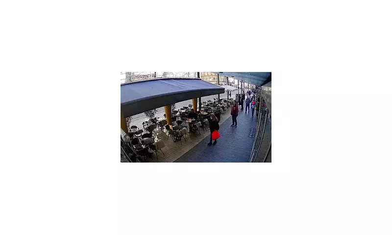 German man jailed for life after fatal carnival car rampage in Mannheim