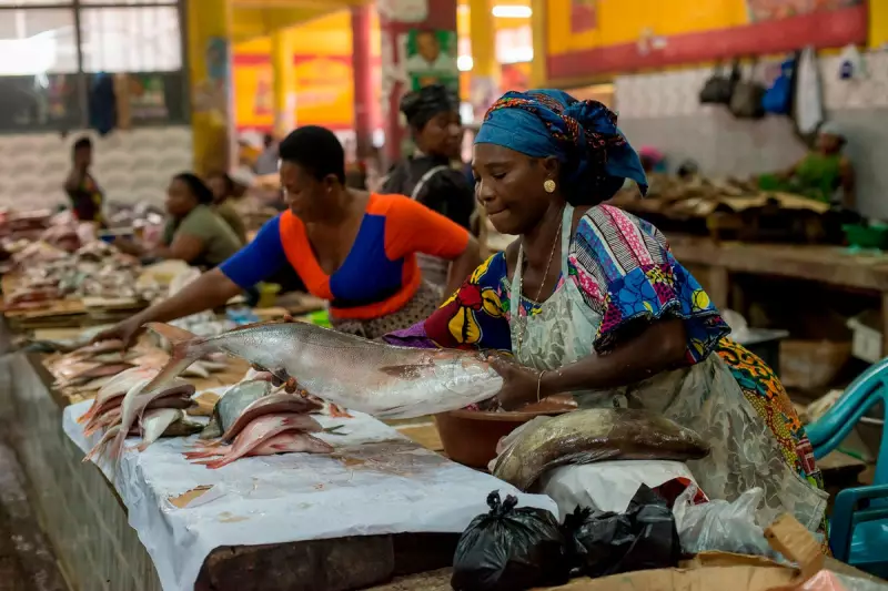 Ghana's Landmark Fisheries Bill Criticised for Overlooking Women's Role