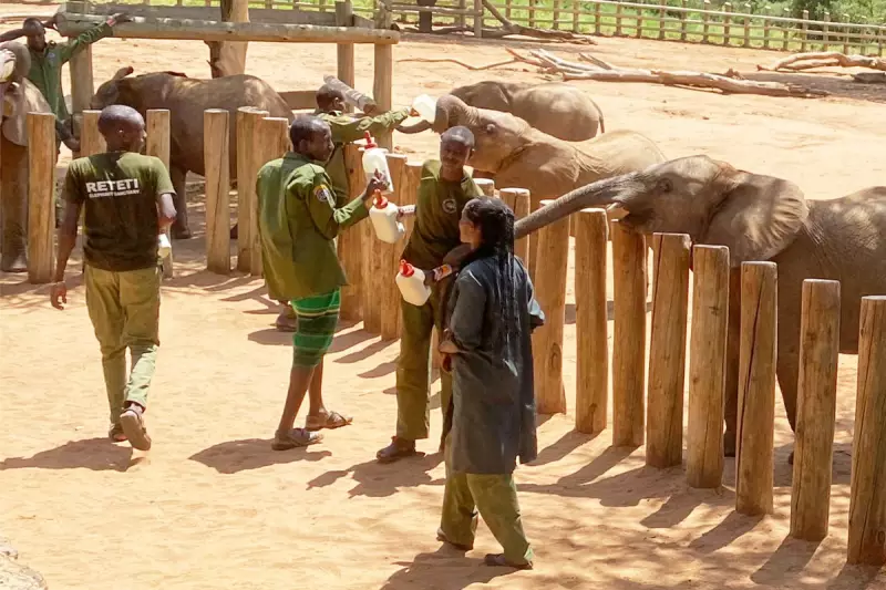 Goat's Milk & Elephants: How Kenyan Safari Tourism Fuels Conservation