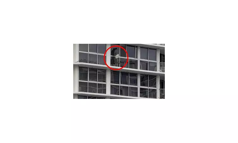 Gold Coast woman's 16th-floor window cleaning stunt branded 'absolutely crazy stupid'