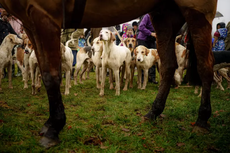 Government to Ban Trail Hunting Over 'Smokescreen' Fears