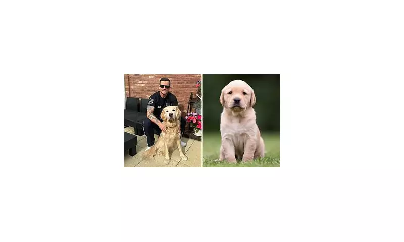 Guide Dog Waiting Times Hit Two Years as Costs Soar to £102,000 Per Dog