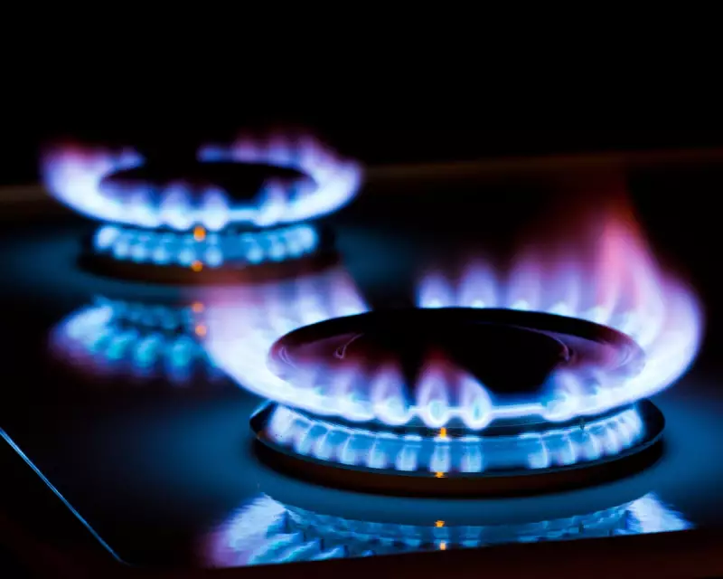 Home Air Quality Study: Indoor Pollution Poses Hidden Health Risk