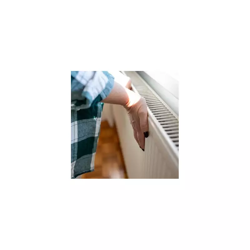 I cleaned my radiators with a hairdryer and the heat output soared