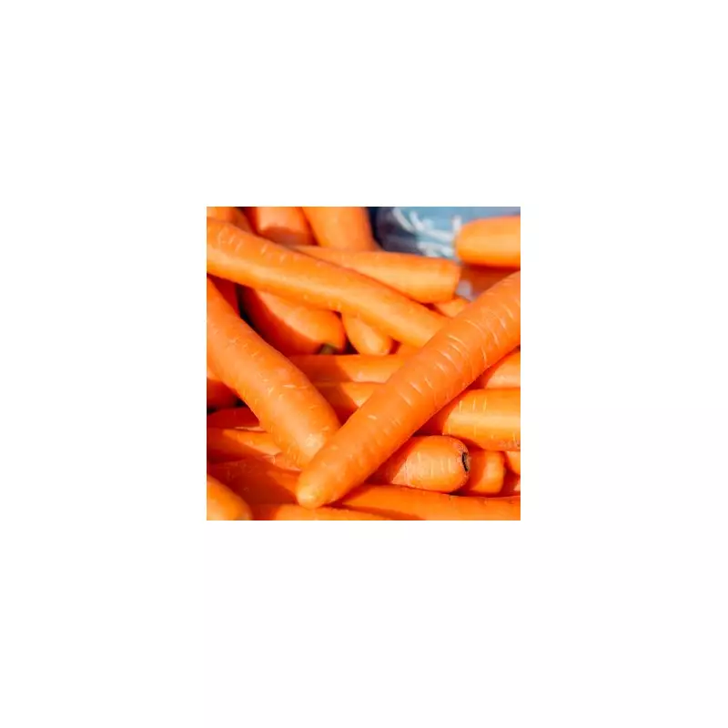 I Tried 3 Carrot Storage Methods: One Kept Them Fresh for 10 Days