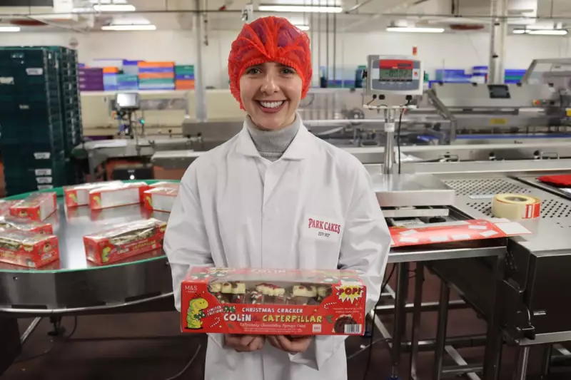 Inside M&S Christmas: Colin Caterpillar's Festive Makeover & TV Tonight Guide
