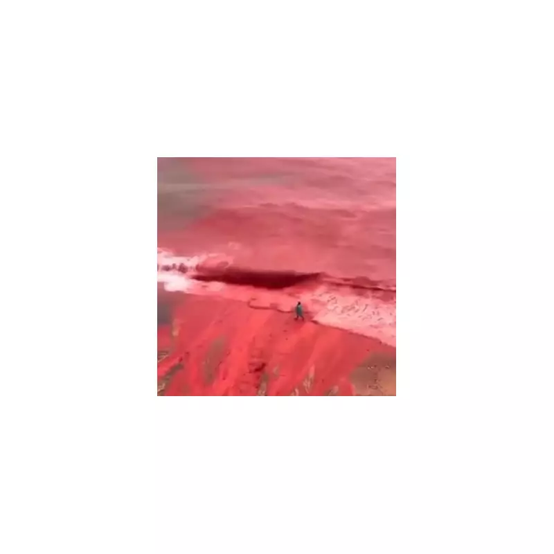 Iran's 'Blood Red Sea' Sparks Biblical Plague Fears After Heavy Rain