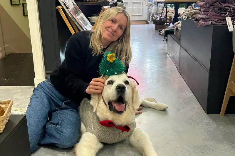 Is Dressing Your Dog for Christmas Wrong? Peta vs Festive Pet Owners