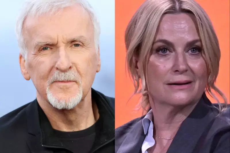 James Cameron brands Amy Poehler's Golden Globes joke 'ignorant' and 'too far'