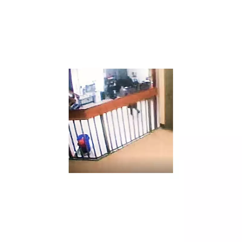 Jeffrey Epstein Death: The 'Missing Minute' & CCTV Mystery That Fuels Conspiracy