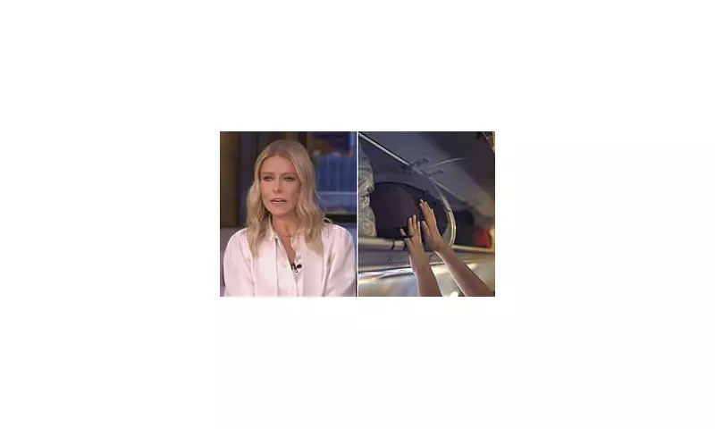 Kelly Ripa's Plane Etiquette Faux Pas Sparks Overhead Bin Debate