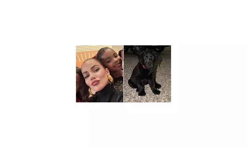 Khloé Kardashian Defies PETA Backlash, Flaunts New Designer Puppy on Instagram