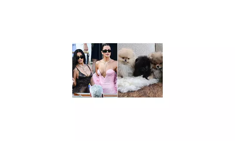 Kim and Khloe Kardashian Face PETA Backlash Over Christmas Puppy Gifts