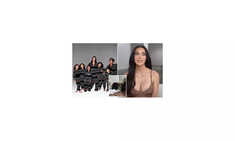 Kim Kardashian Slammed for Giving Four Pomeranian Puppies as Christmas Gifts