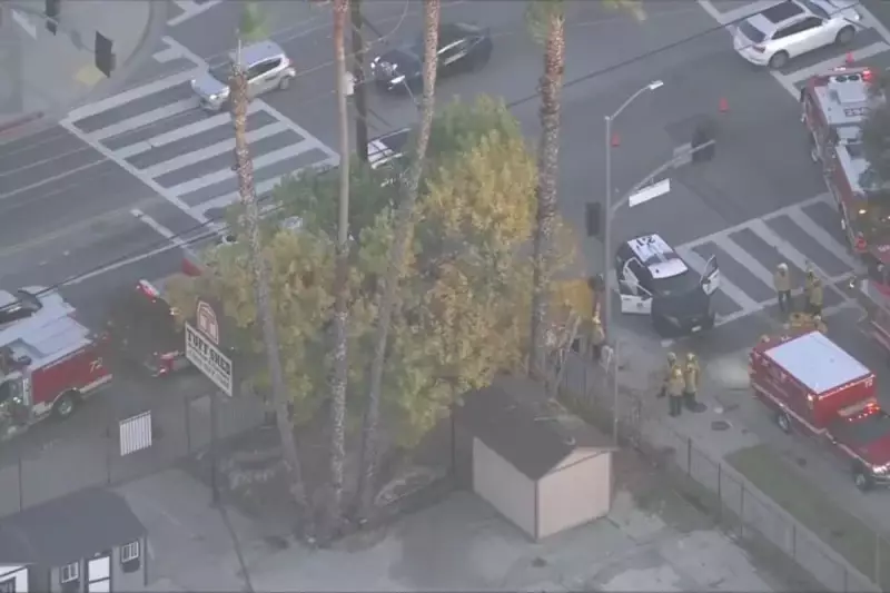 LA Tree Trimmer Dies After 35-Foot Fall Onto Iron Fence