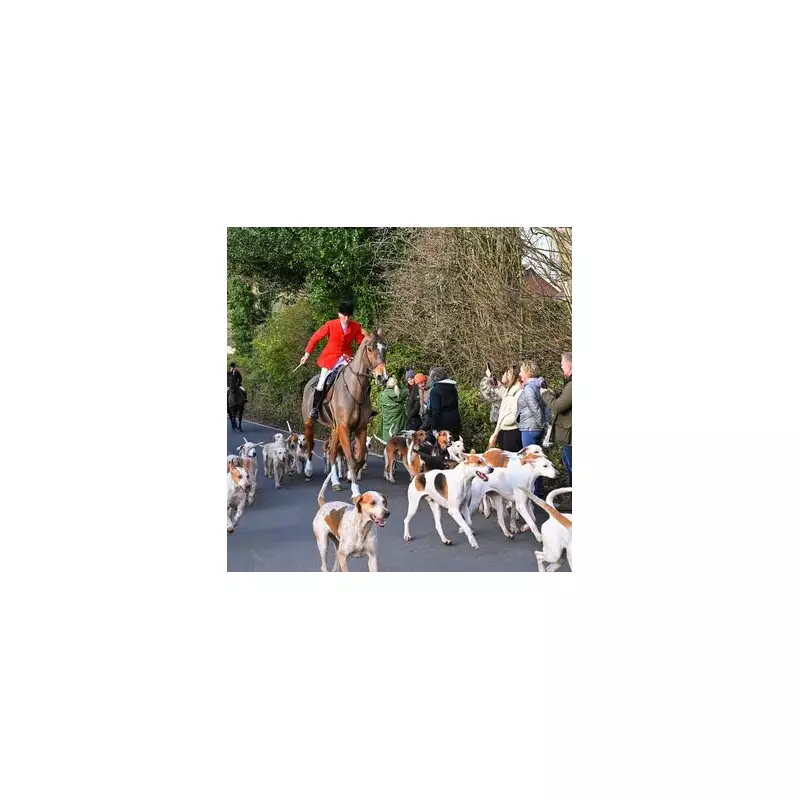 Labour Closes Fox Hunting Loophole as Public Polices Illegal Hunts