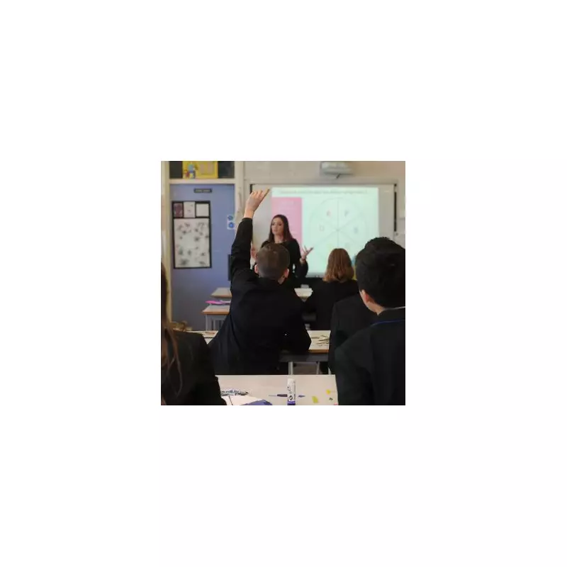 Labour's £20m School Plan to Tackle Misogyny in Historic VAWG Crackdown