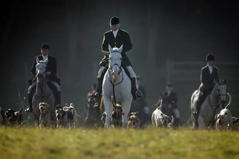 Labour's Trail Hunting Ban: Why Starmer is Outlawing the Countryside Practice