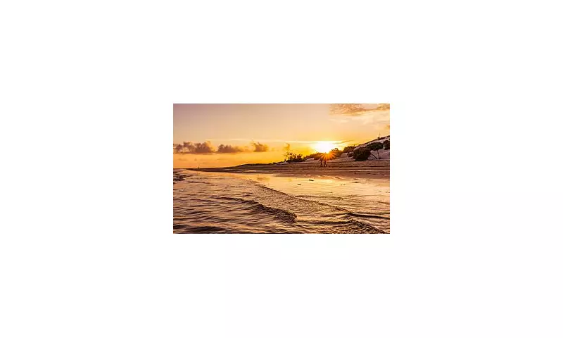 Lamu: Kenya's Secret Celebrity Haven with Caribbean Sun at a Fraction of the Cost