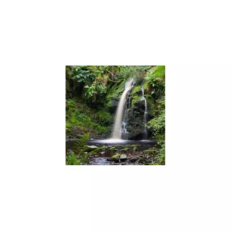 Local's Guide: Why Northumberland is the UK's Most Underrated National Park