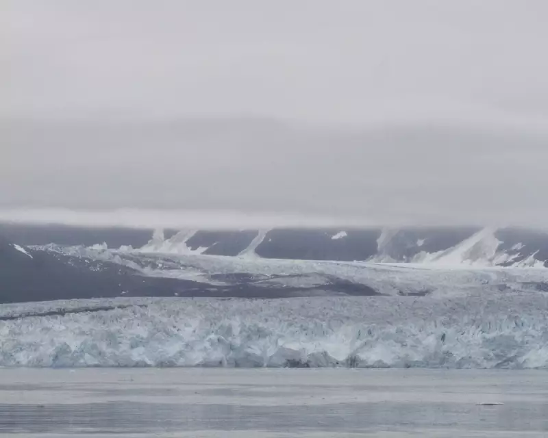 Magnitude 7.0 Earthquake Strikes Alaska-Canada Border, Triggers Tsunami Warning