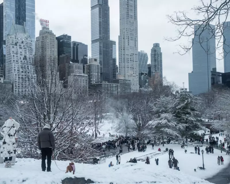 Major Winter Storm Batters US, Leaving 500,000 Without Power